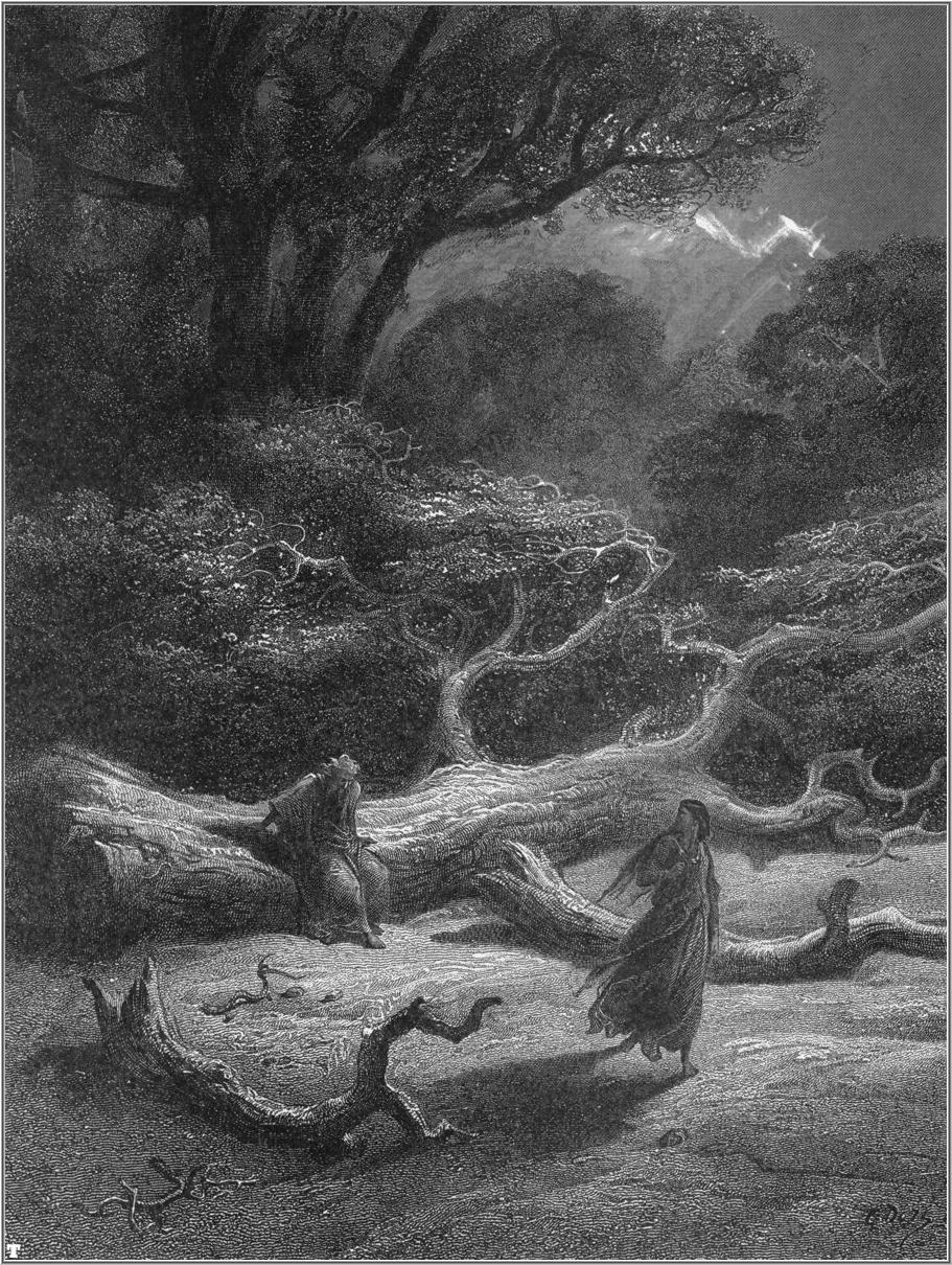 Forêt de Brocéliande