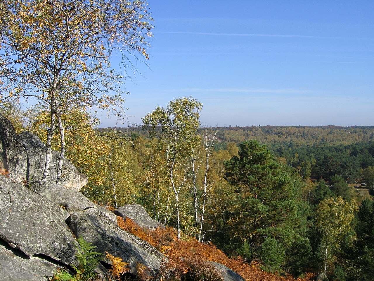 Forêt de Fontainebleau