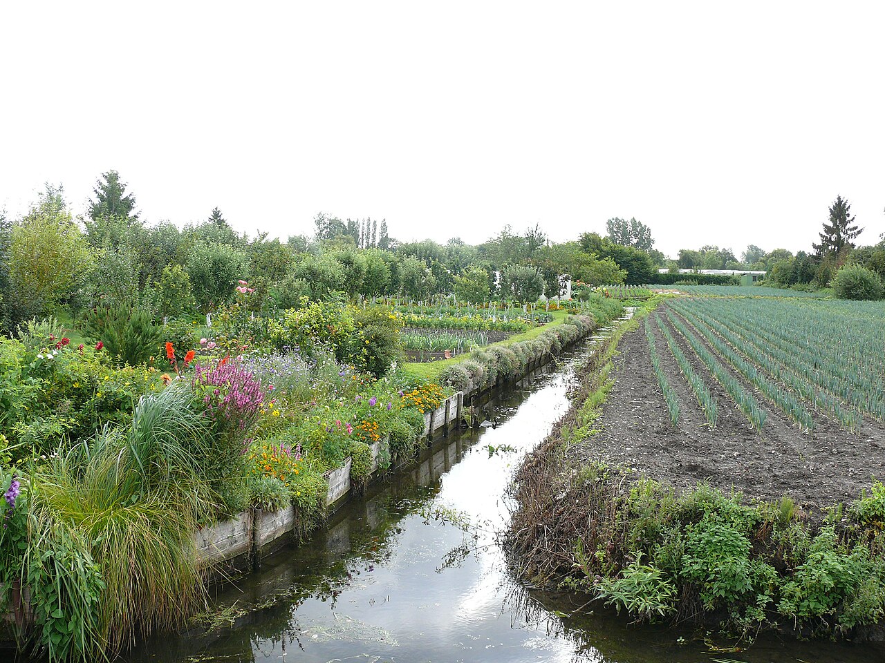 Hortillonnages d'Amiens