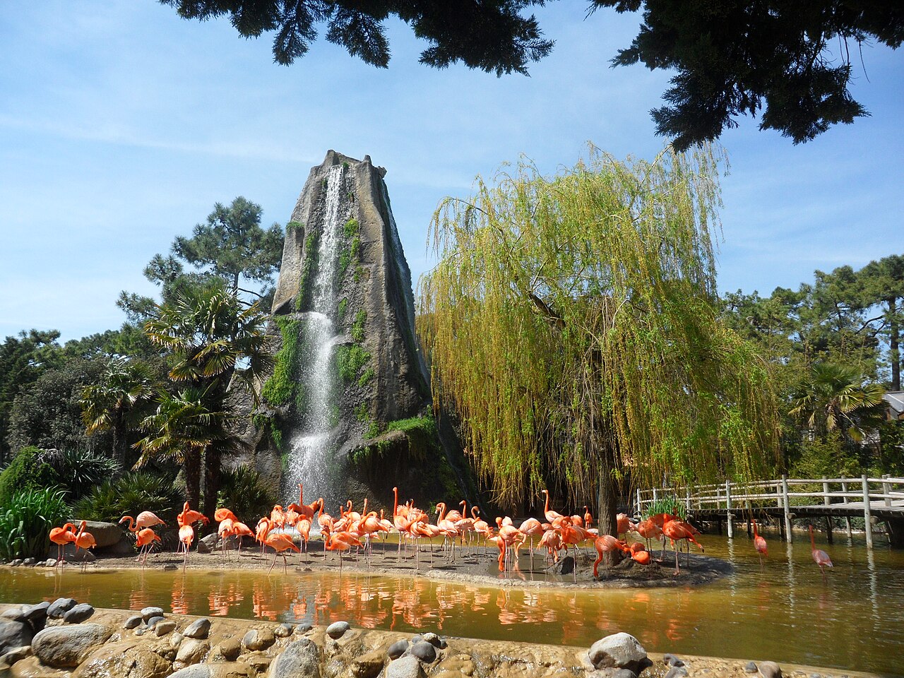 Zoo de La Palmyre